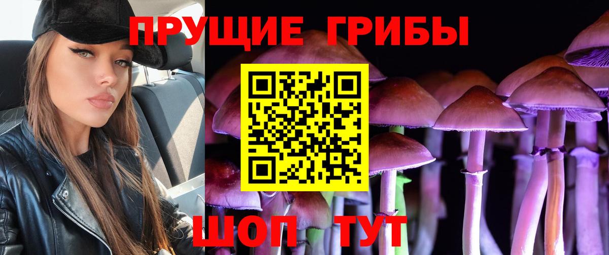 Галлюциногенные грибы мицелий Сердобск