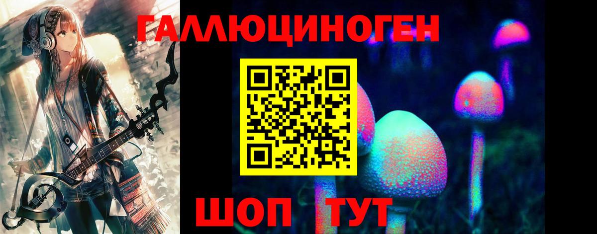 Сердобск  Псилоцибиновые грибы мицелий  Вход с VPN 